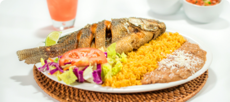 Chavez Seafood Dinner Plates